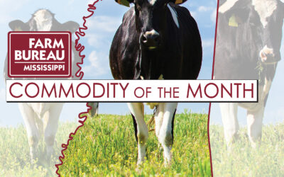 Raise a Glass for National Dairy Month