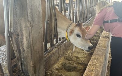 Hands on Approach Key to Ag in the Classroom Workshop