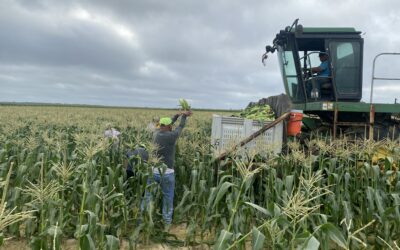 House Appropriators Include Key H-2A Program Reforms