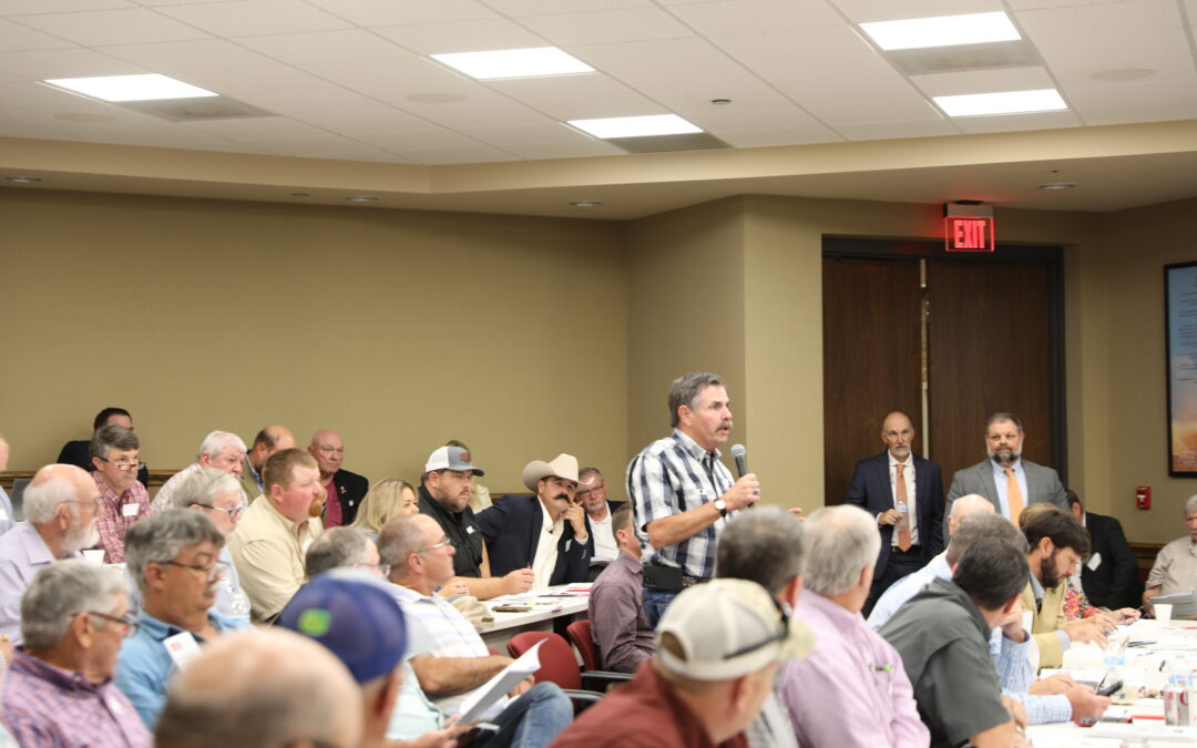 Grassroots Policy Proposals Considered for 2025