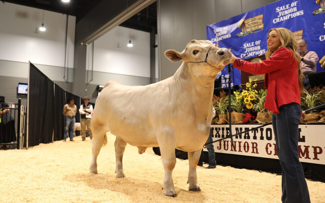 Junior Champions Set Example of Hard Work as Future of Mississippi Agriculture.