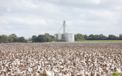 Capitol Comments & Bills to Know, February 10-14