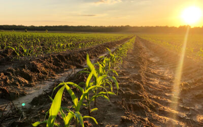 What You Need to Know from the State Capitol, March 10-14