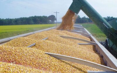 Ag Commissioner Gipson Alerts Mississippi Farmers About Hansen-Mueller Bankruptcy Deadlines and Other Important Points