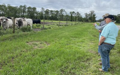 Beef Tour Connects Producers, Strengthens Farm Bureau and Industry