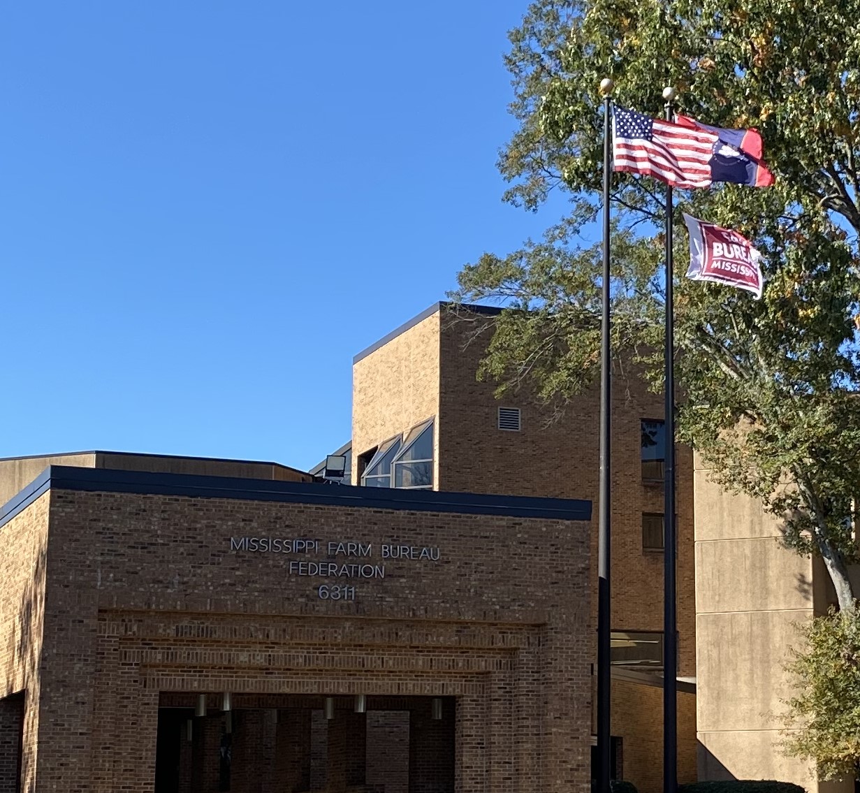 Statement on Make America Healthy Again Commission Report from MFBF ...
