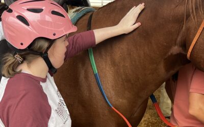 MSU’s Equine Therapy Helps Individuals and Families through “healing” Power of Horse, Rider Connection
