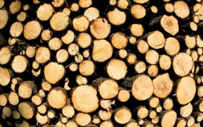 EU deforestation rules shaping U.S. timber contracts, hitting ag land conversions
