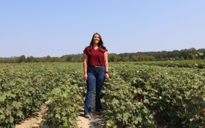 Crow Earns Extension Research Award for Impactful Ag Innovation