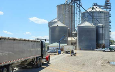 Capitol Comments – Mississippi State Legislature Week 4 Update