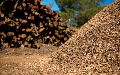 MFBF backs action expanding treatment of woody biomass