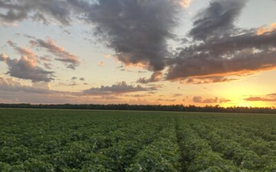 MFBF Applauds EPA’s Approval of New Crop Protection Products